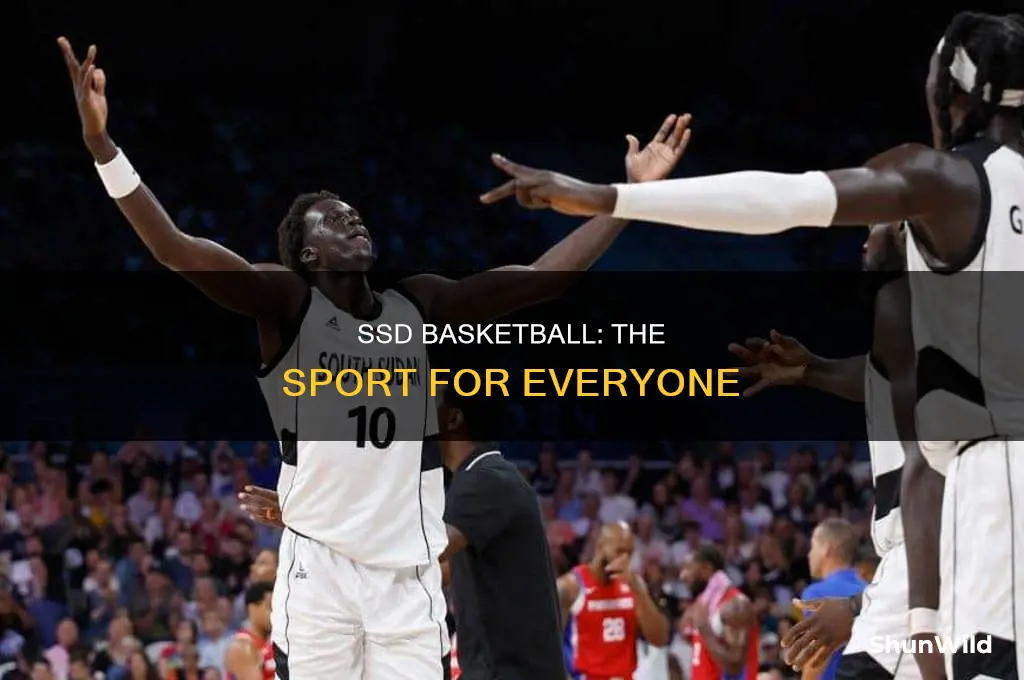 is ssd basketball