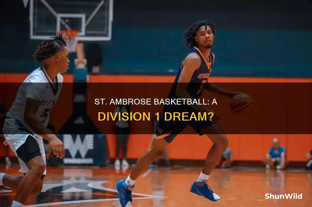 is st ambrose division 1 basketball