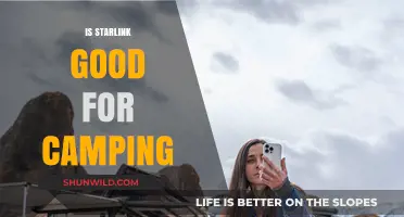 Starlink for Camping: Reliable Internet in the Great Outdoors?