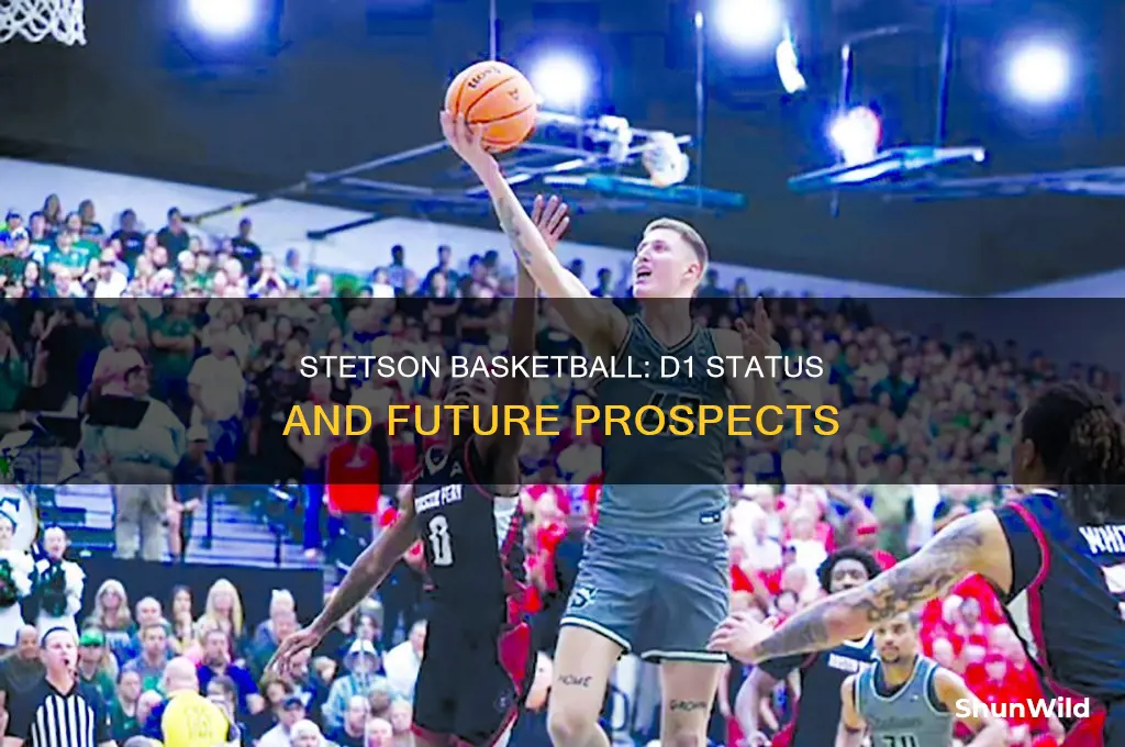 is stetson basketball d1