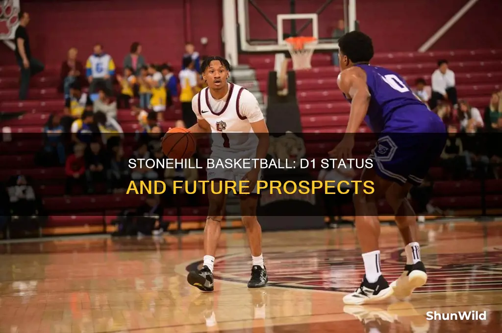 is stonehill basketball d1