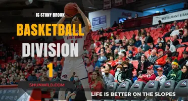 Stony Brook Basketball: Division 1 Status