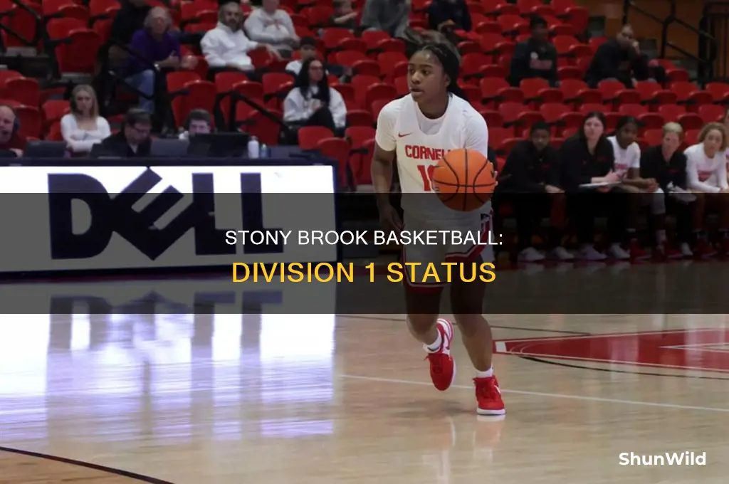 is stony brook basketball division 1