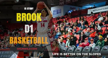 Stony Brook's Basketball Team: D1 Status