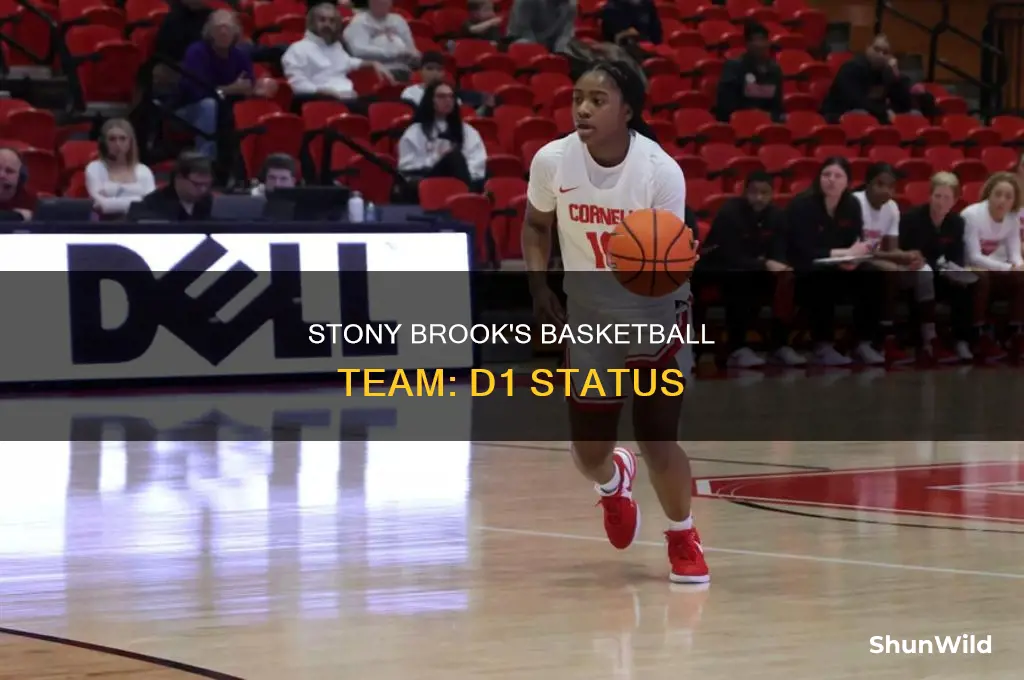 is stony brook d1 basketball