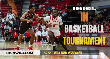 Stony Brook's Basketball Tournament: Who Will Win?