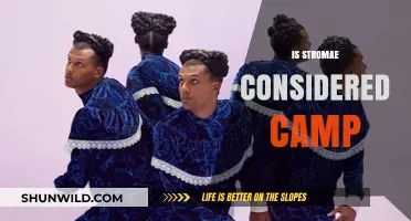 Is Stromae's Artistry Camp? Decoding His Eccentric Style and Appeal