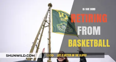 Sue Bird's Basketball Career: Retirement Rumors and Realities