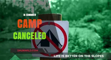 Is Summer Camp Canceled? Latest Updates and Alternatives for Families