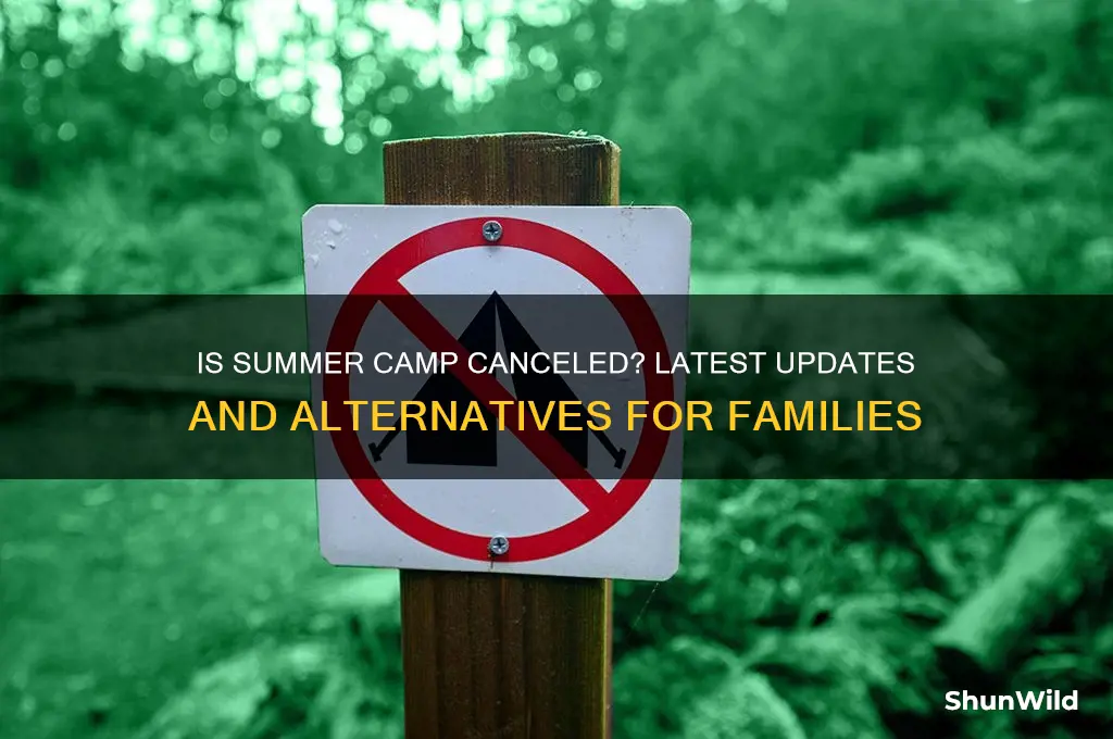 is summer camp canceled