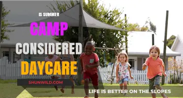 Is Summer Camp Daycare? Exploring the Differences and Benefits