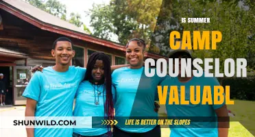 Is Being a Summer Camp Counselor a Valuable Experience?