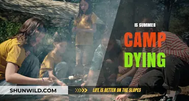 Is Summer Camp Fading? Trends, Challenges, and the Future of Camps