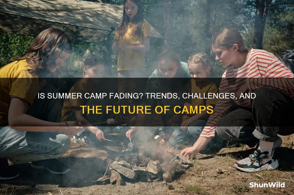 is summer camp dying