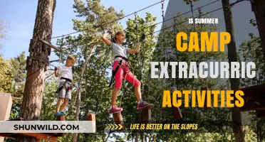 Summer Camp: Extracurricular Activities or Essential Experiences?