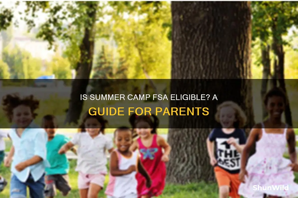 is summer camp fsa eligible