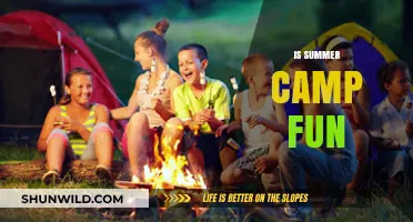 Summer Camp Adventures: Fun, Friendship, and Unforgettable Memories Await!