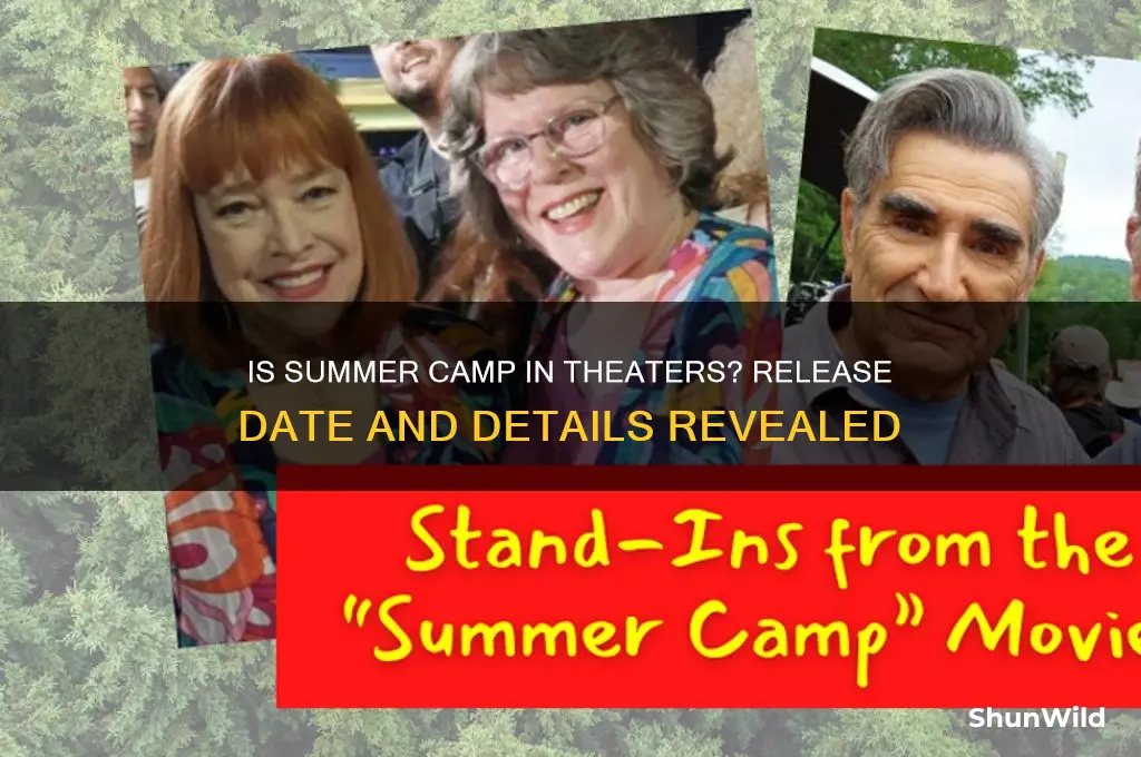 is summer camp in theaters