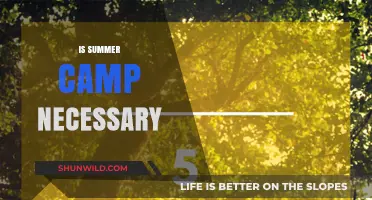 Is Summer Camp Necessary? Exploring Benefits and Alternatives for Kids