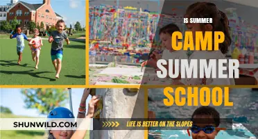 Summer Camp vs. Summer School: Which is Right for Your Child?