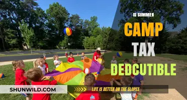 Can Summer Camp Costs Be Claimed as a Tax Deduction?