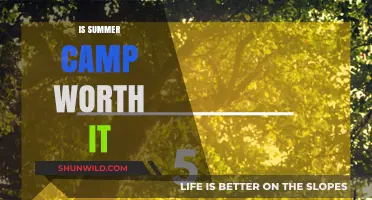 Is Summer Camp Worth It? Benefits, Costs, and Lasting Impact