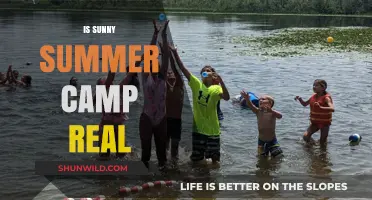 Is Sunny Summer Camp Real? Unveiling the Truth Behind the Myth