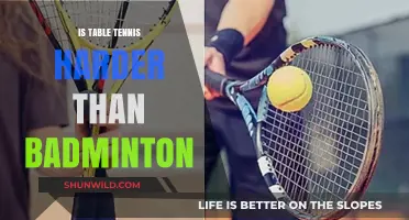Which Sport is Superior: Badminton or Table Tennis?