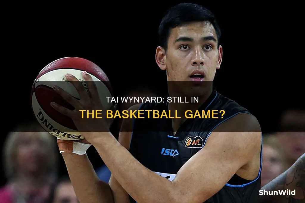 is tai wynyard still on basketball
