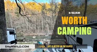 Is Tallulah Gorge State Park Worth Camping? A Comprehensive Review