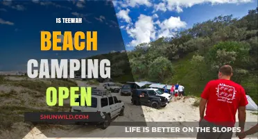 Is Teewah Beach Camping Open? Latest Updates and Guidelines