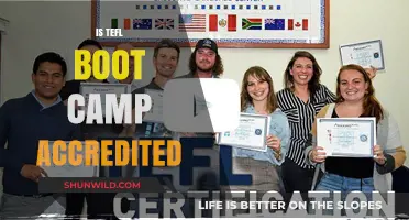 Is TEFL Boot Camp Accredited? Exploring Certification and Recognition