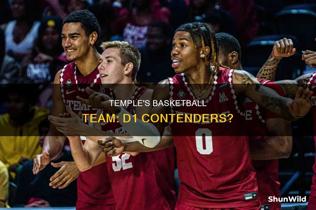 is temple d1 basketball