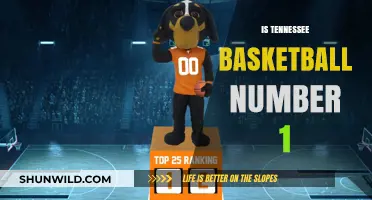 Volunteers' Basketball: Best in the Nation?
