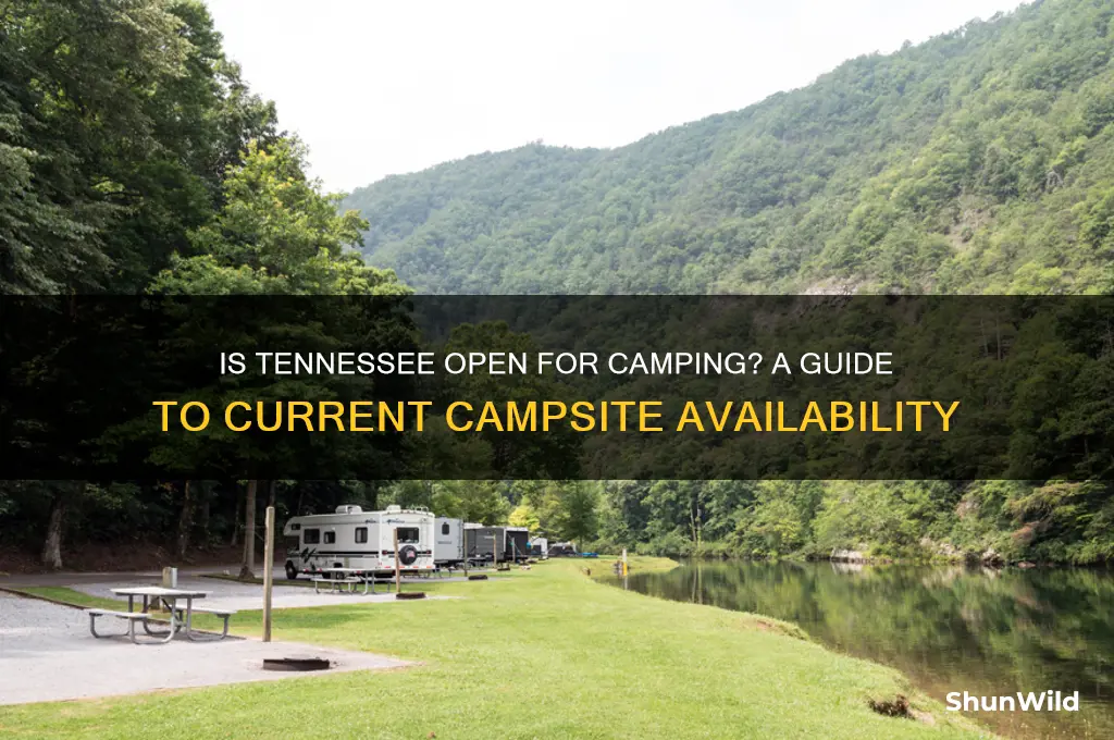 is tennessee open for camping