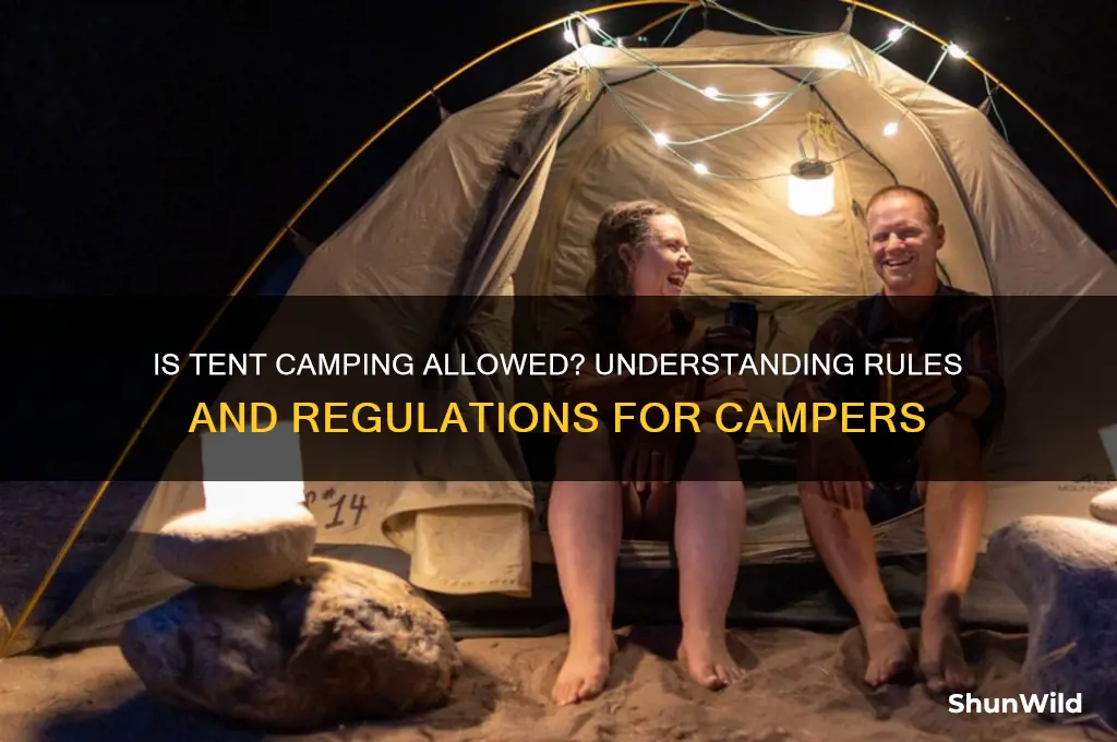 is tent camping allowed