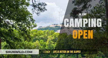 Is Tent Camping Open? A Guide to Current Campsite Availability