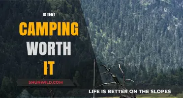 Is Tent Camping Worth It? Pros, Cons, and Honest Insights