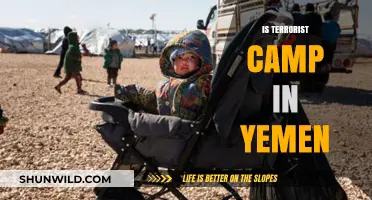 Yemen's Terrorist Camps: Uncovering the Hidden Threat and Global Impact
