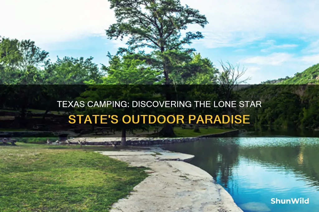 is texas good for camping