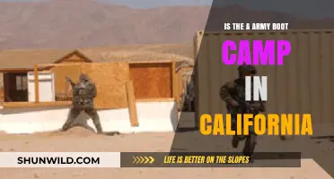 Exploring California's Army Boot Camp Options: Locations and Training Details
