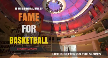 Basketball Hall of Fame: Physical Location or Fantasy?