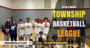 Shelby Township Basketball League: Where Dreams Come True