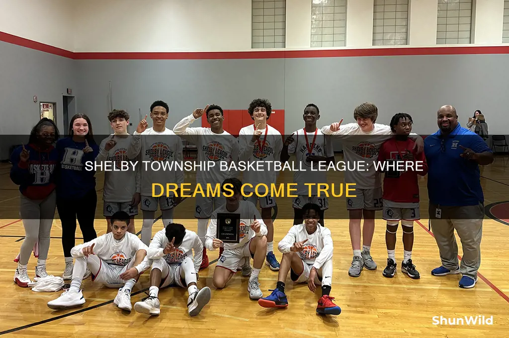 is the a shelby township basketball league