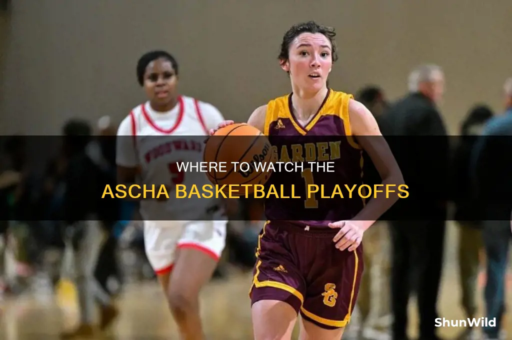 is the assha basketball playoffs on tv