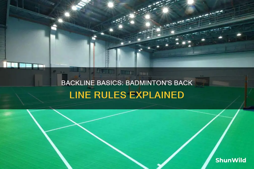 is the back line out in badminton