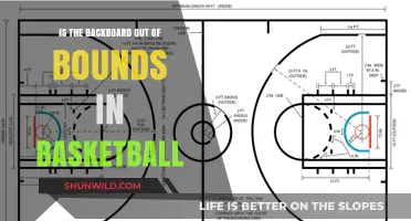 Backboard Boundaries: What's Out in Basketball?