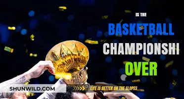 The Basketball Championship: Who Took the Crown?