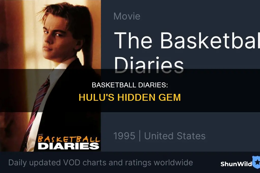 is the basketball diaries on hulu