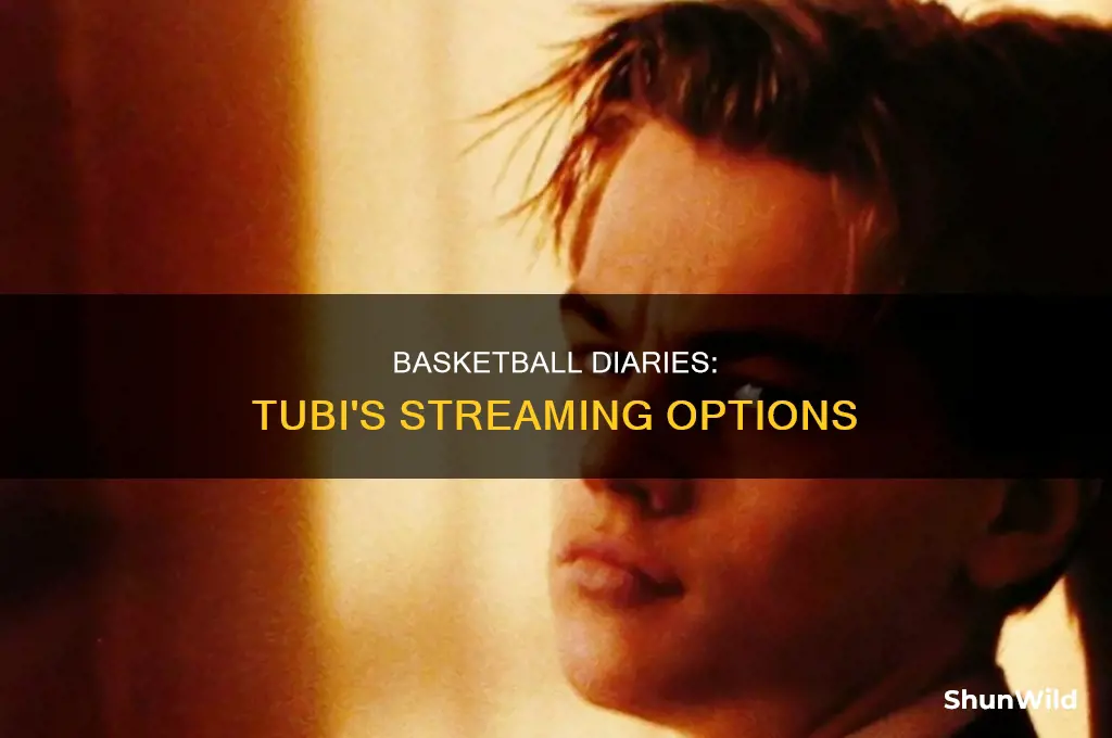 is the basketball diaries on tubi